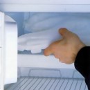hbs24 - Eis Skulture Form Schwan für 24h in das Eisfach
