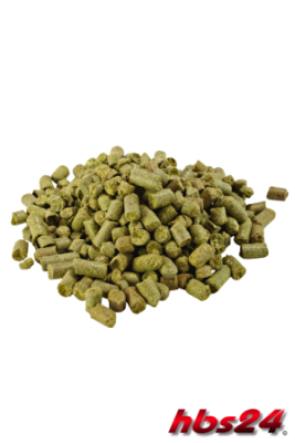 Neuheiten zu Bierherstellung