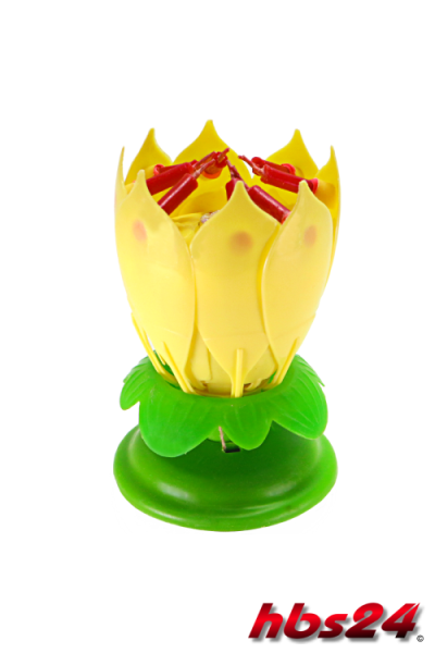 Magische Kerze-Blume Magic Flower Candle - hbs24