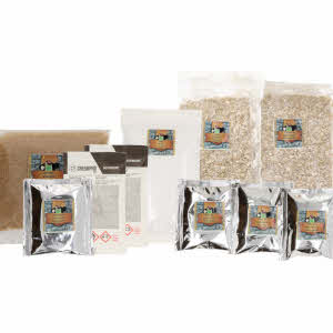 kingdom-nachfullset-tripel1