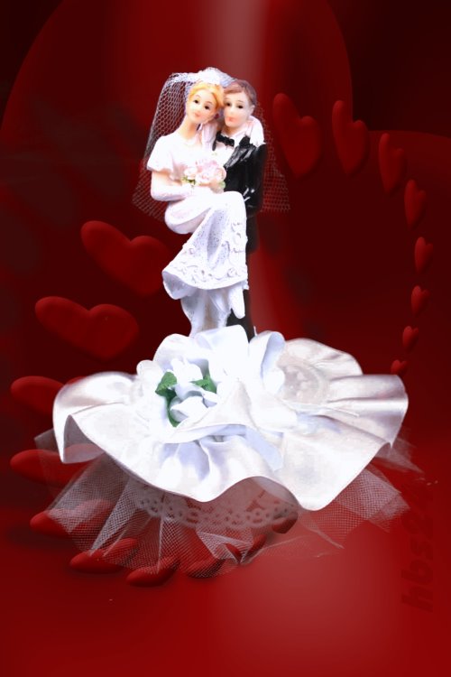 hbs24 - Tortenaufsatz Brautpaar 8031-1