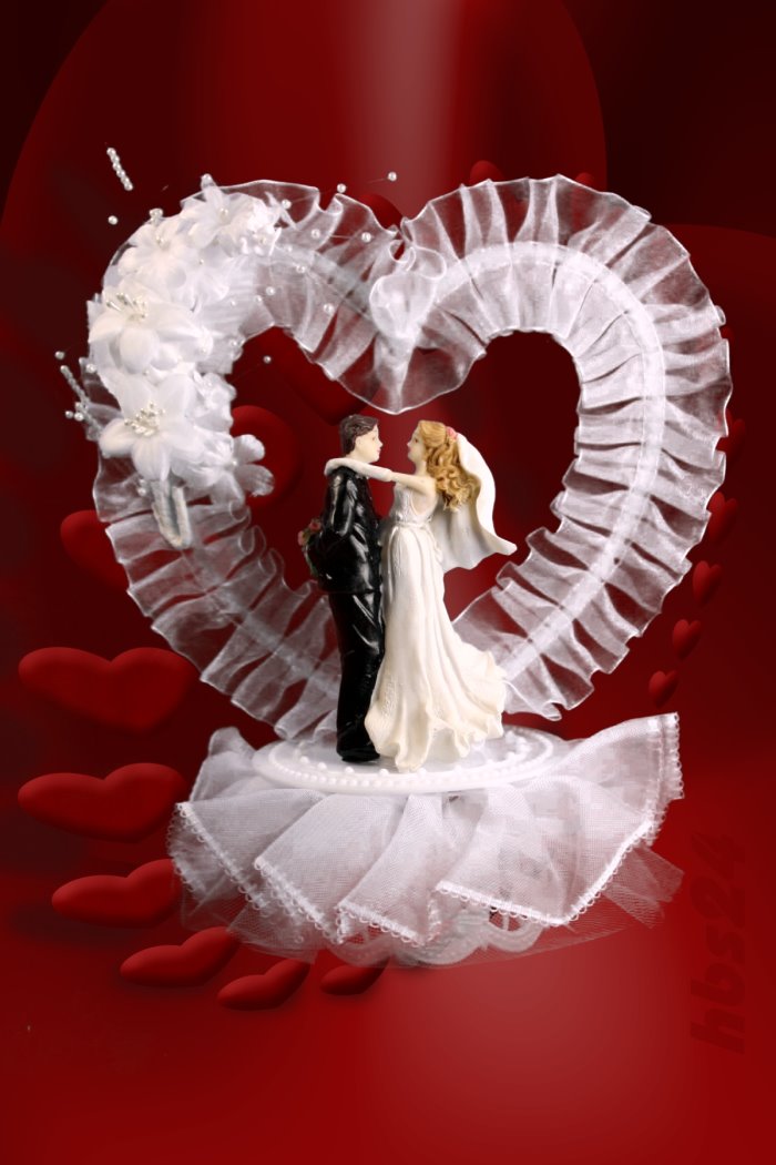 hbs24 - Tortenaufsatz Brautpaar unter Herzbogen 8004-2