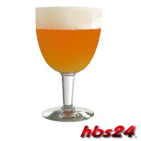 Belgian Triple Braupaket Helles Abtei Bier - hbs24